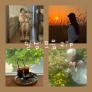 4,5월 일상기록 모음 zip