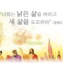 무궁조화