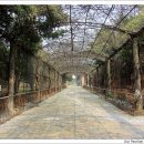 계림산장 이미지