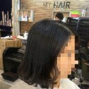 마이본1호 이미지