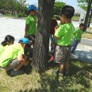 운천초병설유치원 이미지