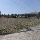 서홍동-11 이미지