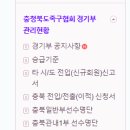 충청북도족구협회 경기부관리현황 (충북일반부하향신청란) 이미지
