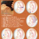 귀 건강학(이혈테라피) 이미지