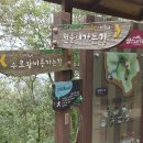 스카이 투어