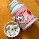 참신 | 애사비 부담 없이 챙기는 참신한하루 애사비정 후기