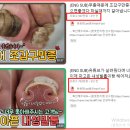 풋풋한리쌤 성수본점 이미지