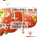 행정3길 이미지