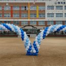 미스터벌룬이벤트