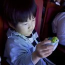 금비유치원 | 뮤지컬 시즌6 신비아파트 고스트볼 제로 붉은 눈의 저주 동해 5세 6세 아이들과 관람후기