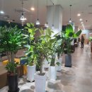 JS 실내 골프연습장 이미지