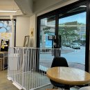 엔조이펫 | 수원 반려견셀프목욕, 펫엔조이 영통기흥점 다녀왔습니다🐾