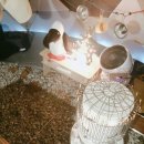 핫독빌리지 | 감성돔클캠2015 / in 어라운드 빌리지