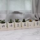 바야흐로봄