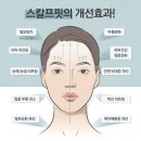 라데끄랩