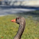 대전신학대학교 이미지