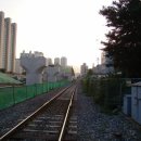 안락상가시장 이미지