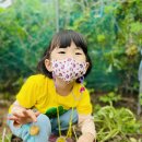 보배유치원 이미지