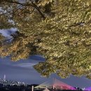 청시행 | 남양주맛집 데이트 청시행 강릉수제버거 야경 후기