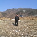 김삿갓면-41 이미지