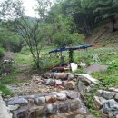 삼포농장 이미지