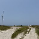 코난비치 이미지