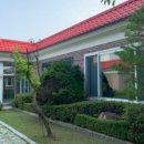 웰컴 펠릭스 이미지