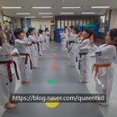 용인대 해동 태권도장 이미지