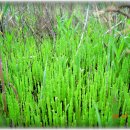 김명복농장 이미지