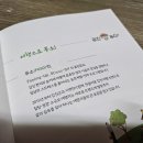 선화네푸소 이미지