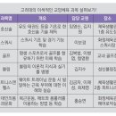 다식리생활체육시설 농구장 | [2025년 5월호] 일상 속 체육을 위한 가이드북: 고대생의 건강을 부탁해!