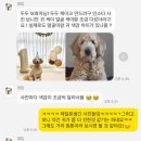 댕집 이미지