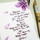 수채캘리그라피 이미지