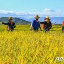 원암농장 이미지