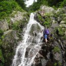 From the New World 이미지