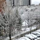 구자동동물병원 이미지