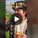 삼촌농수산