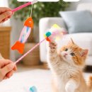 고양이 - 동해시 한섬로 128 | 고양이