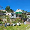 옥정호풍차 | 임실 나들이(치즈온피자,우유일기,임실치즈 테마파크,디디에,옥정호 붕어섬)