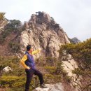 와룡헬스 | 두번째 울트라러닝 참가후기 [2024서울트레일런13K]