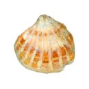 삼진식당 이미지