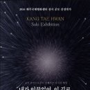 LED평화