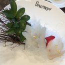 해바라기참치회 이미지