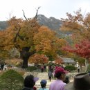 매창공원 이미지