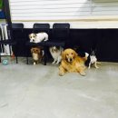 원더우멍 이미지