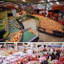 직거래마트 이미지