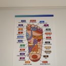 대동농원 | 밀양 가볼만한 곳 - 종남산 진달래 축제 주차, 코스 추천, 족욕카페 힐링다해소