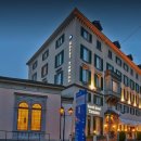 소렐(Sorrel) 이미지