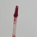 더글로시 | 올리브영 세일 내돈내산 추천템 립제품 글로시립틴트 후기
