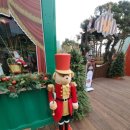 롯데애견 이미지